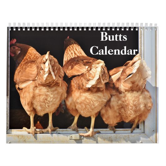 2027 Billen Kalender (Hoes)