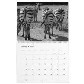 2027 Billen Kalender (Jan 2027)