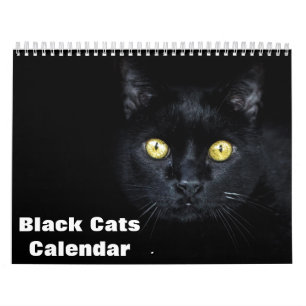 2027 Black Cats Foto Agenda Kalender