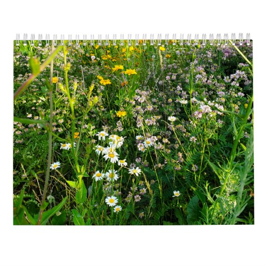 2027 Bloemencalender Kalender (Achterkant)
