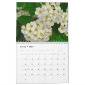 2027 Bloemencalender Kalender (Jan 2027)