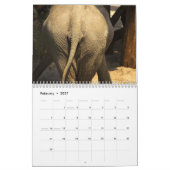 2027 Butts Kalender (Feb 2027)