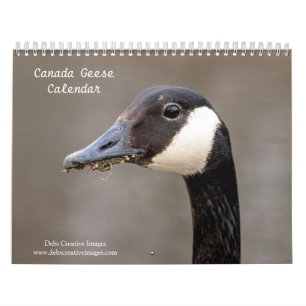 2027 Canadese Ganzen Familie- en Wildelevenfotog Kalender