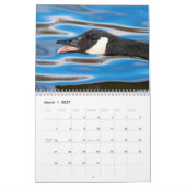 2027 Canadese Ganzen | Familie- en Wildelevenfotog Kalender (Mar 2027)