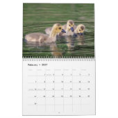 2027 Canadese Ganzen | Familie- en Wildelevenfotog Kalender (Feb 2027)