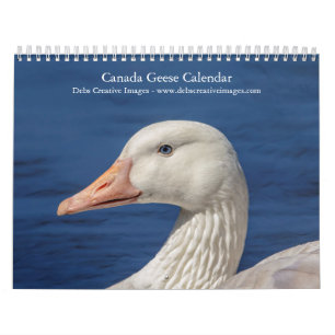 2027 Canadese Ganzen Familie Wildlife Fotografie Kalender