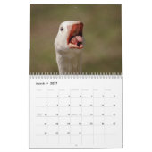 2027 Canadese Ganzen | Familie Wildlife Fotografie Kalender (Mar 2027)