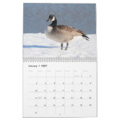 2027 Canadese Ganzen | Familie Wildlife Fotografie Kalender (Jan 2027)