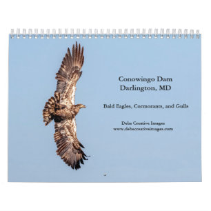 2027 Conowingo Dam Zeearenden Maryland Wilde Die Kalender