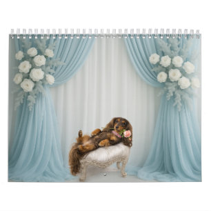 2027 DACHSHUND KALENDER