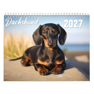 2027 Dachshund Kalender