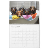 2027 Dachshund Kalender (Feb 2027)