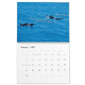 2027 Dolfijn Muurkalender Zeeleven Natuur Kalender (Feb 2027)