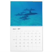 2027 Dolfijn Muurkalender Zeeleven Natuur Kalender (Mar 2027)