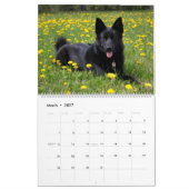 2027 Duitse Herdershond Wandkalender Dier Kalender (Mar 2027)