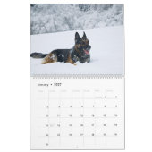 2027 Duitse Herdershond Wandkalender Dier Kalender (Jan 2027)
