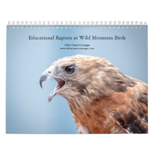2027 Educatieve Vogels bij Wild Mountain Birds Kalender