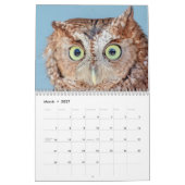 2027 Educatieve Vogels bij Wild Mountain Birds Kalender (Mar 2027)