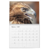 2027 Educatieve Vogels bij Wild Mountain Birds Kalender (Feb 2027)