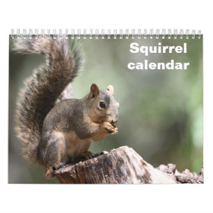 2027 Eekhoorn Kalender