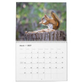 2027 Eekhoorn Kalender (Mar 2027)