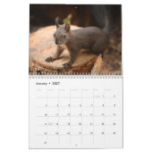 2027 Eekhoorn Kalender (Jan 2027)