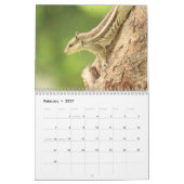 2027 Eekhoorn Kalender (Feb 2027)