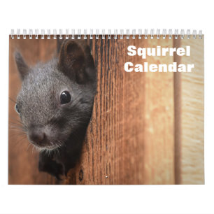 2027 Eekhoorn Kalender