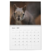 2027 Eekhoorn Kalender (Mar 2027)