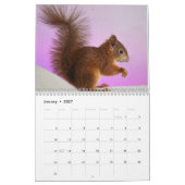 2027 Eekhoorn Kalender (Jan 2027)