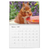 2027 Eekhoorn Kalender (Feb 2027)