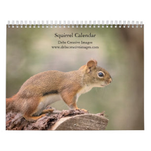 2027 Eekhoorns Bosdierenfotografie Kalender