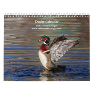 2027 Eenden van New York   Watervogelfotografie Kalender