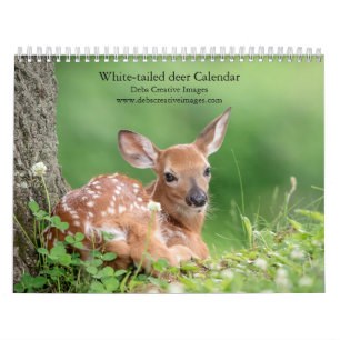2027 Familie van Witstaartherten   Boswildlife Kalender