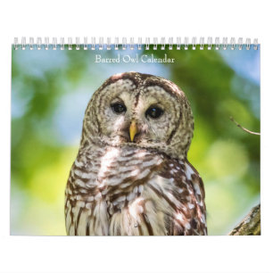 2027 Gestreepte Uilen Mysterie van het Bos Kalender