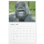 2027 Gorilla Kalender (Feb 2027)