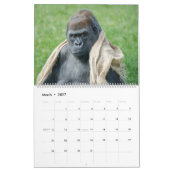 2027 Gorilla Kalender (Mar 2027)