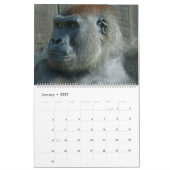 2027 Gorilla Kalender (Jan 2027)