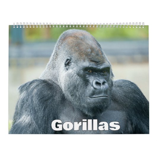 2027 Gorilla Kalender (Hoes)
