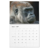 2027 Gorilla Kalender (Mar 2027)