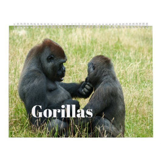 2027 Gorilla Kalender (Hoes)