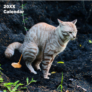 2027 Grappige Katten Poepende Kalender Persoonlijk