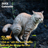 2027 Grappige Katten Poepende Kalender Persoonlijk