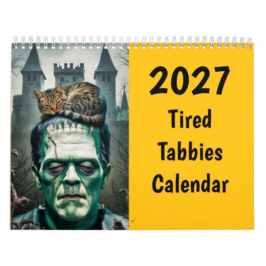 2027 Grappige Moeë Tabbykatten Kalender (Hoes)
