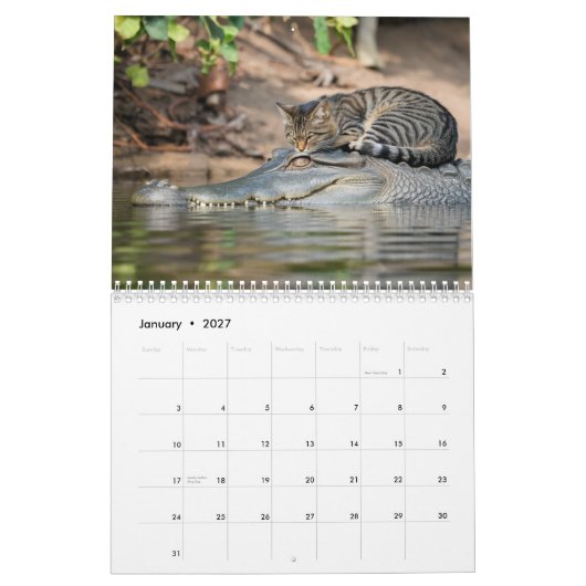 2027 Grappige Moeë Tabbykatten Kalender (Jan 2027)