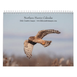 2027 Grauwe Kiekendief Roofvogels Kalender