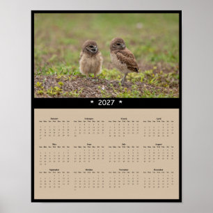 2027 Gravende Uilen Muurkalender - Uilenfamilie Poster