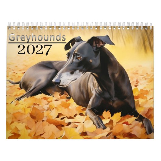 2027 Greyhounds Kalender (Hoes)