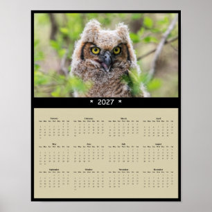 2027 Grote Gehoornde Uil Muurkalender: Wijze Besch Poster