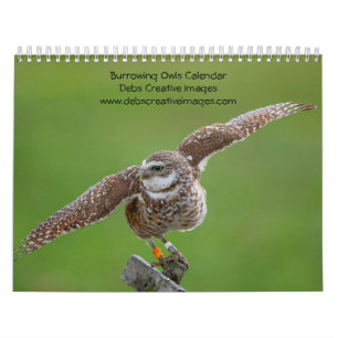 2027 Holenuil Florida Wildlife Fotografie Kalender